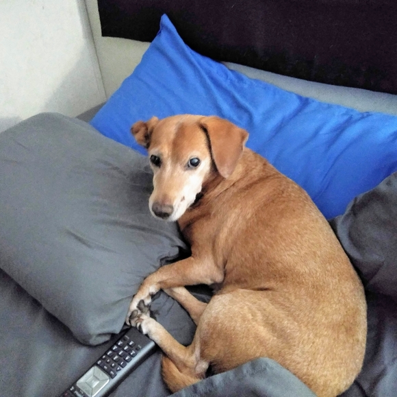 Meet your Posher, Noah........(rEv) - Picture 5 of 15